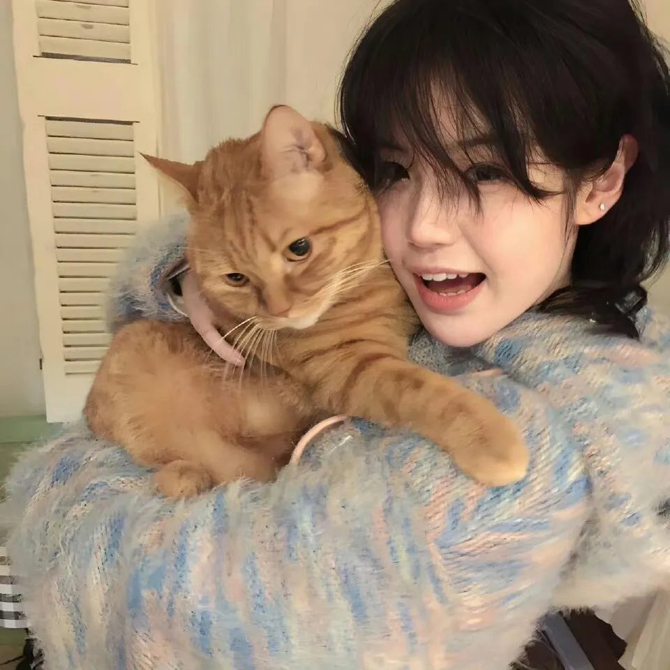 霍家拳之精武英雄